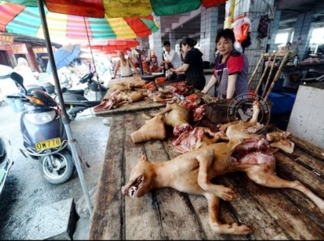 Il massacro di Yulin. Un'altra immagine nel fotomontaggio di apertura (a sinistra Beatrice Lorenzin).