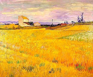 Un celebre dipinto di Van Gogh. In apertura, ginestre sul Vesuvio